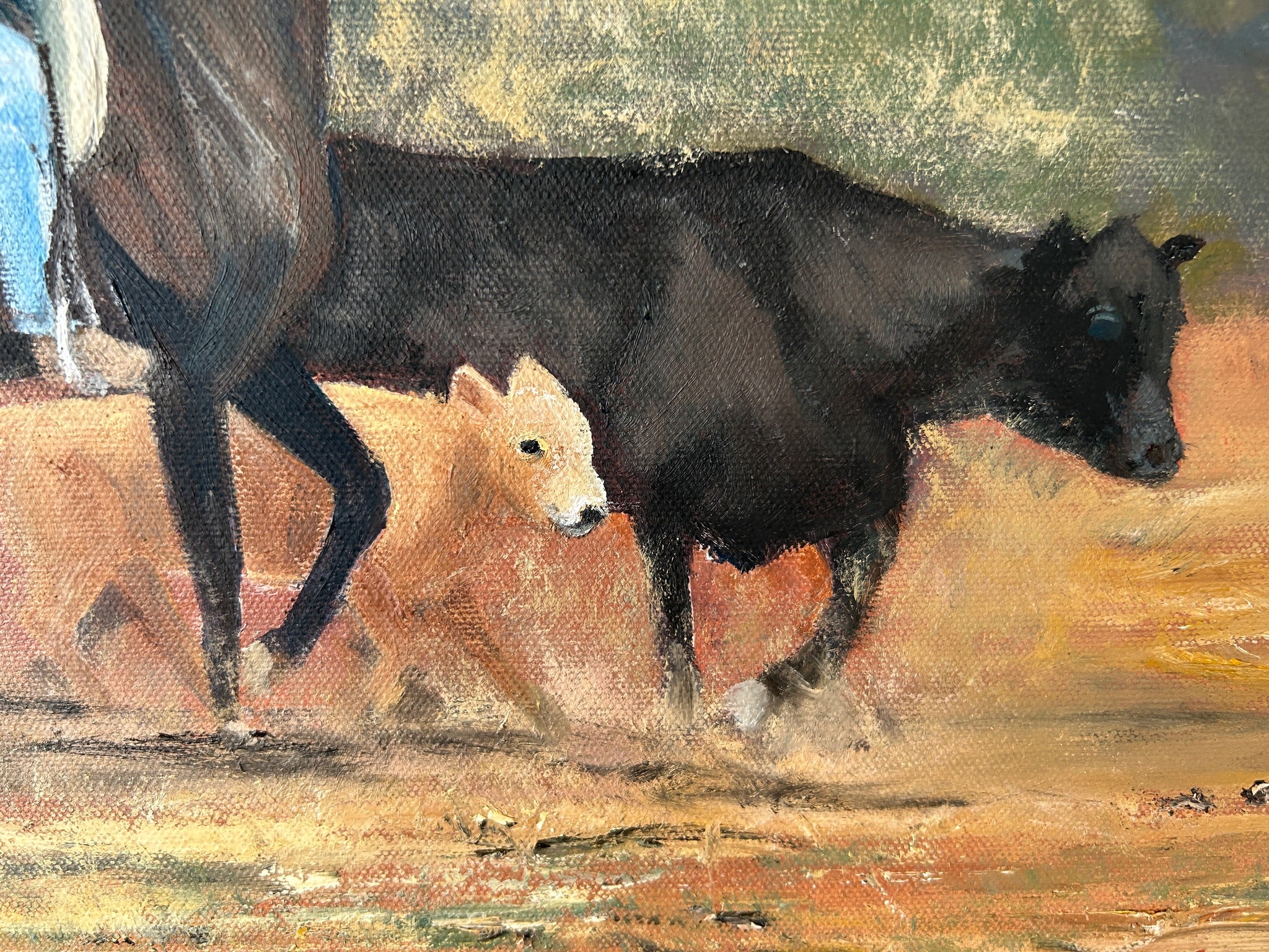 Cowboy Herding Cattle: Original Oil Painting on Canvas (20" x 16")