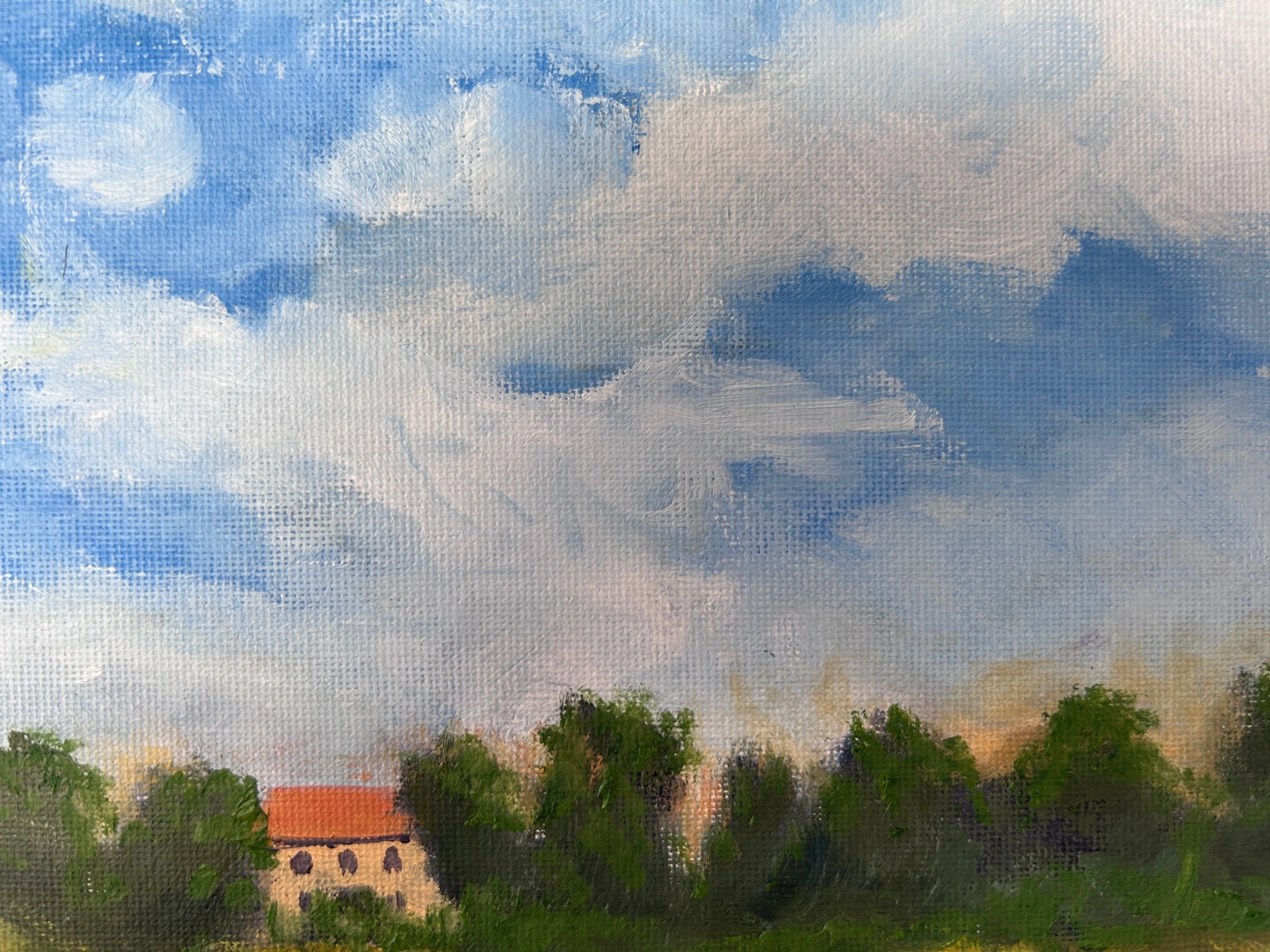 Hand-Painted Replica: Claude Monet – Poppy Field, 16x12 Canvas