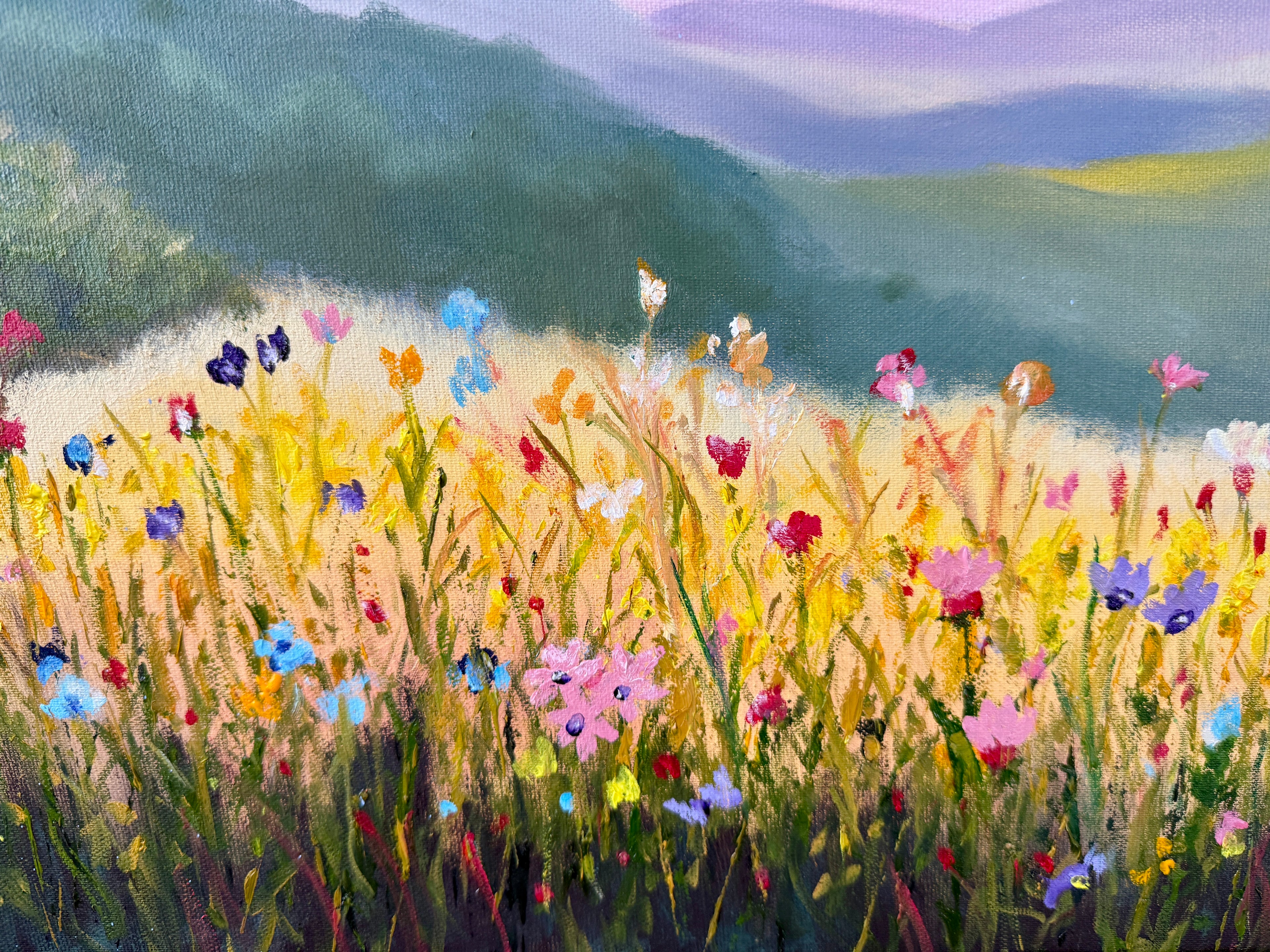 Sunrise Behind the Mountains over a Flower Field 28"x20"