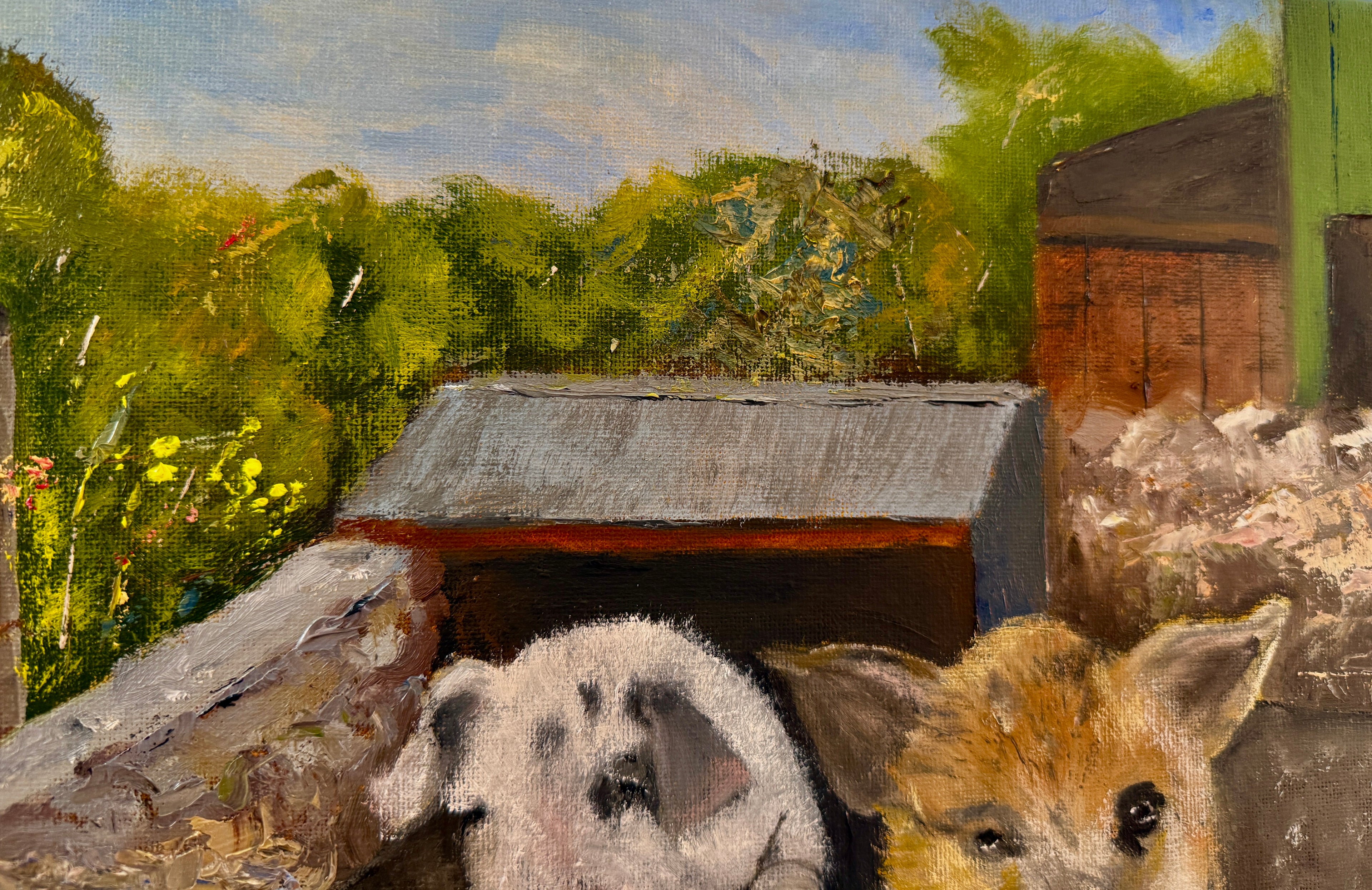 Two Pigs Over a Stone Wall (16"x12")