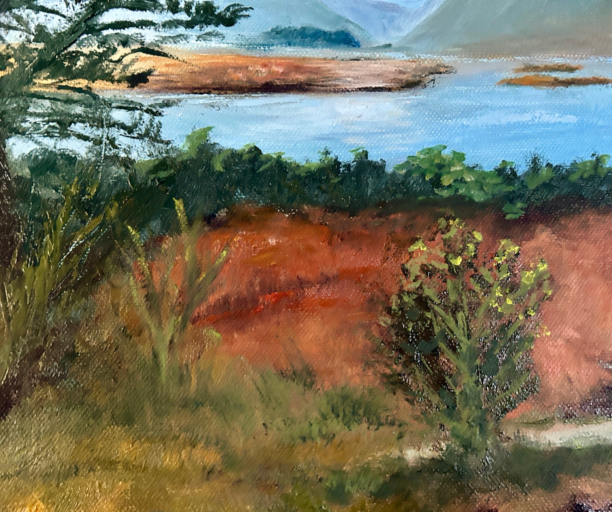 Original Oil painting - Glenveagh National Park :  Irish Landscape 24X20