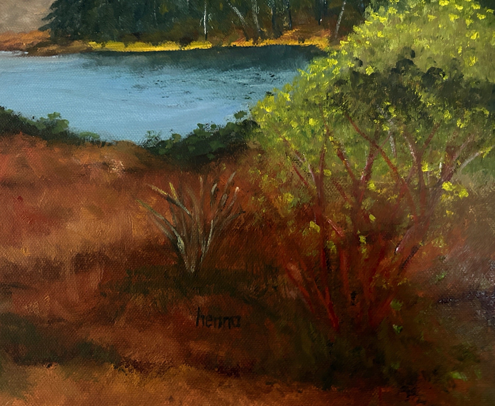 Original Oil painting - Glenveagh National Park :  Irish Landscape 24X20