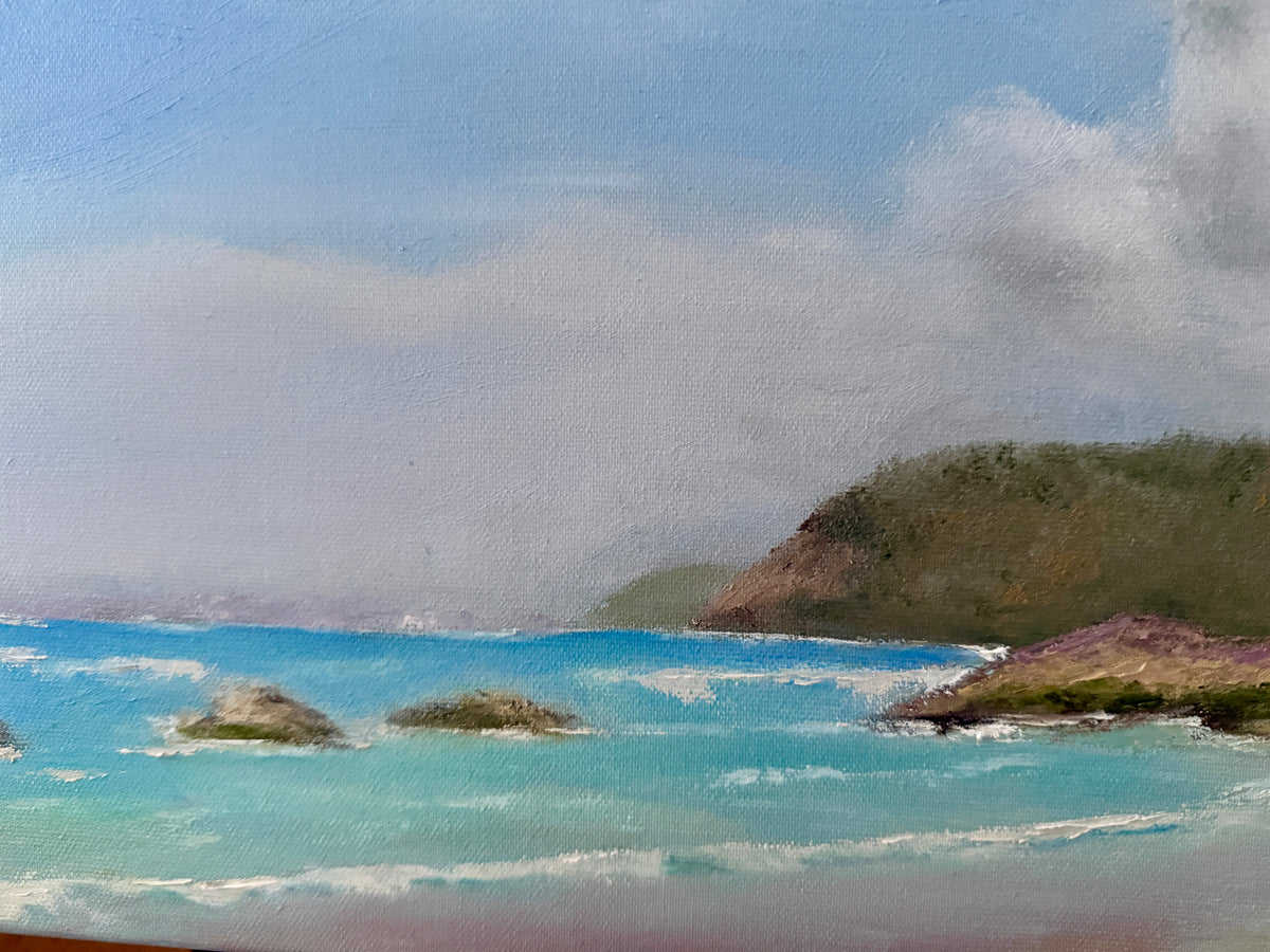 Original Oilpainting -The Whispering Cliffs Seascape art 12X28