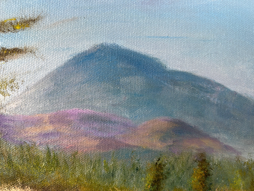 Original Oil Painting - Muckish Mountain Irish Landscape Art 14”x18”