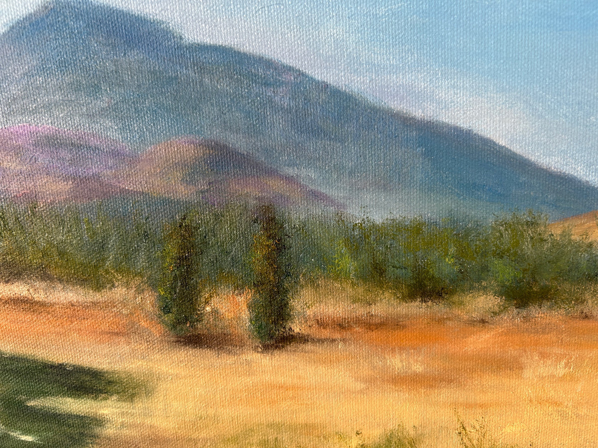 Original Oil Painting - Muckish Mountain Irish Landscape Art 14”x18”