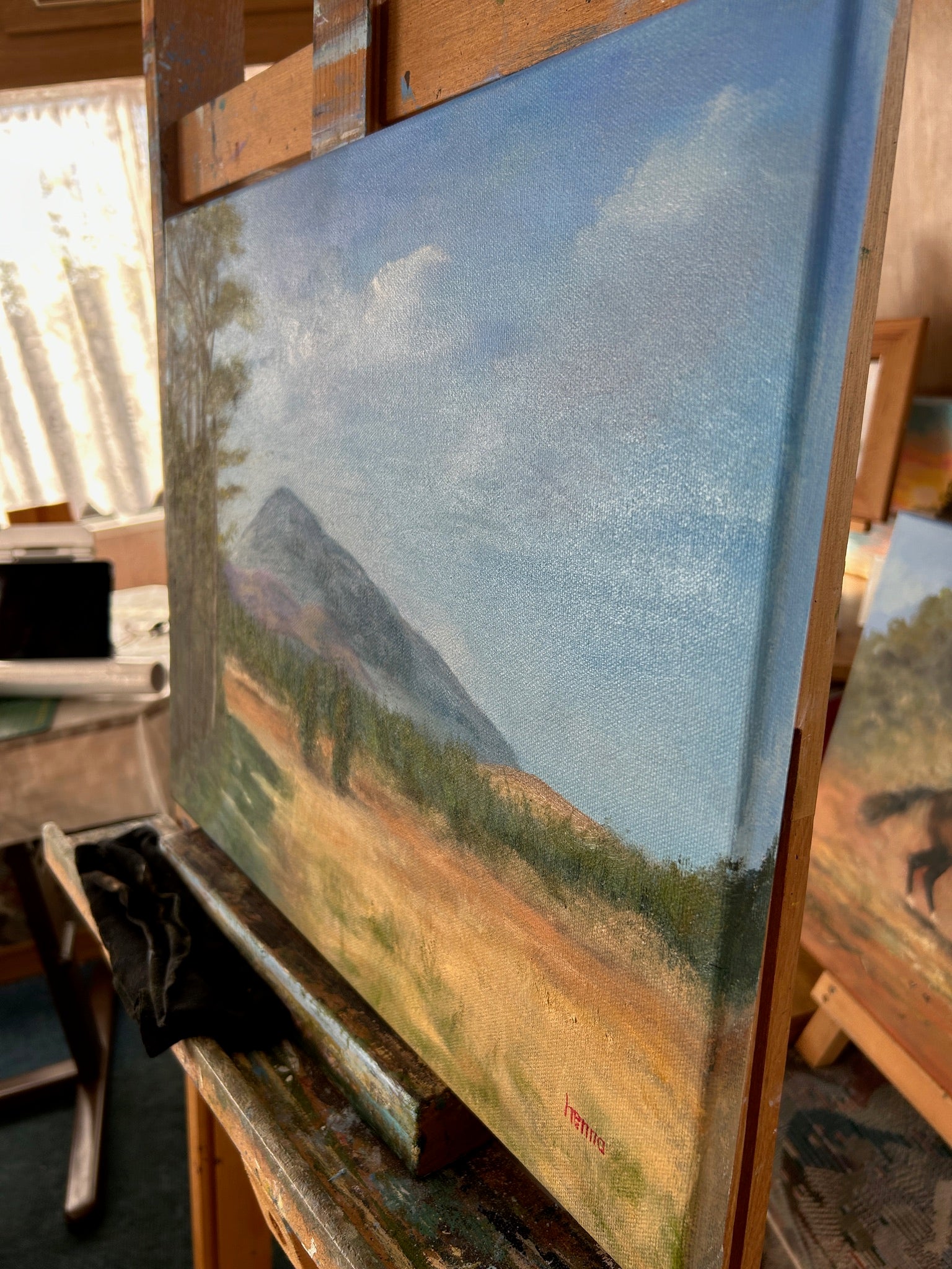 Original Oil Painting - Muckish Mountain Irish Landscape Art 14”x18”