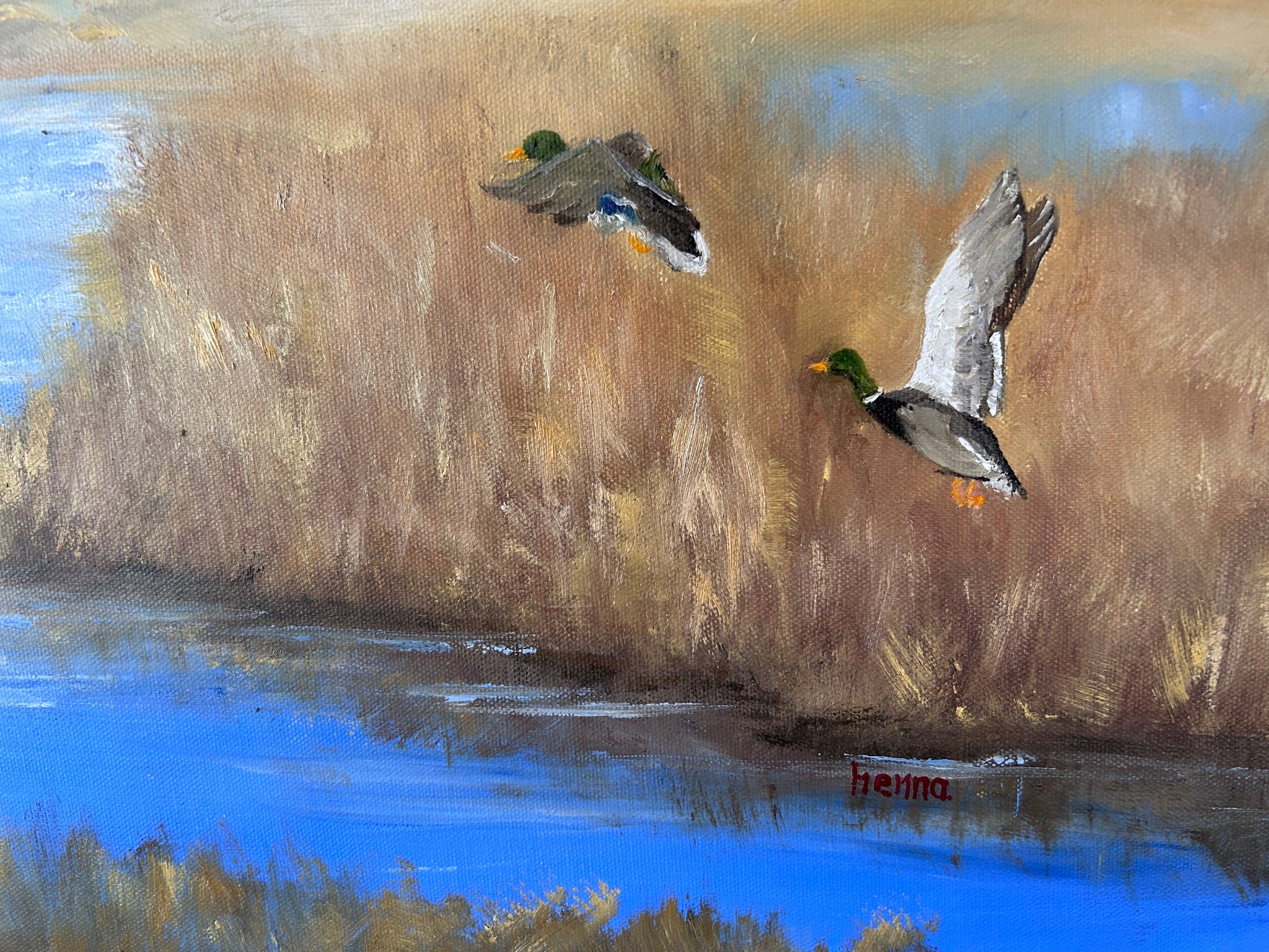 Two ducks flying over a body of water with reeds in the background