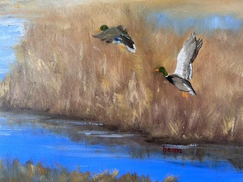 Two ducks flying over a body of water with reeds in the background